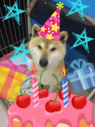ハッピーバースデー♪