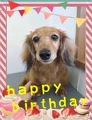 ハイテンションで大喜び♪