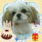 HAPPY BIRTHDAY!