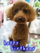 HAPPY BIRTHDAY!