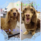 イケメン兄弟☆