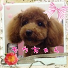 大変身?!