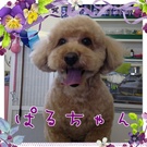 なでて~♪