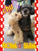 お姉ちゃんにChu♪