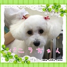 性格はおっとり♪