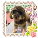 6ヶ月とは思えないほど・・・♪