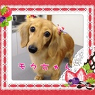 お正月リボンがキュート♪