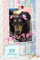 しっぽフリフリ~♪