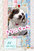 ドキドキがいっぱい!