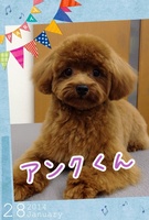 やんちゃくん?!