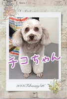 カンガルーみたいに?!