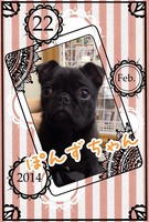 すべてがカワイイ~