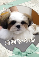 パパとお姉ちゃんに見守られながら♪