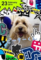 しっぽフリフリ~♪