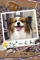 ふわふわ~