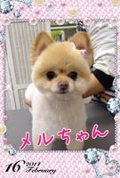 キュートに変身♪