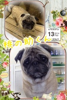 しっぽをブンブン♪♪