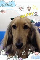 イケメンくん♪