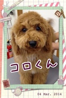 興味津々♪