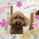 ギャップもカワイイ♪