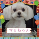 可愛くてとってもキュート♪