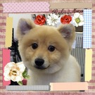 凛々しいイケメンくん♪