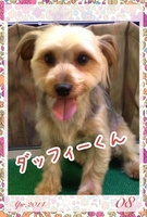 移動美容室をご利用☆