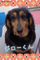 パパ大好き♪