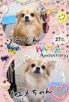 HAPPY BIRTHDAY!