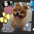 大変身♪♪