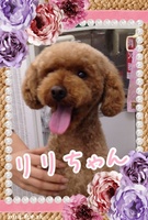 パパといつも一緒♪