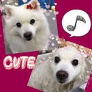 メロメロ~♪