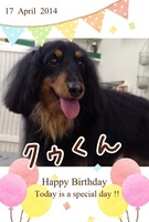 HAPPY BIRTHDAY!