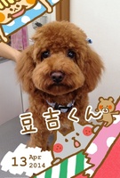 高速回転のしっぽ♪