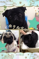 愛嬌たっぷり♪