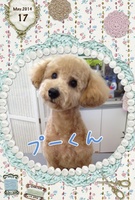 メロメロ~♪