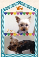 初めてのシャンプーもバッチリ!