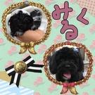 愛情たっぷり幸せいっぱい♪