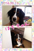 とってもおっとりさん♪