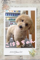 愛情たっぷり幸せいっぱい♪