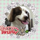 HAPPY BIRTHDAY!