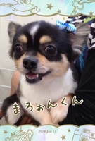 怖がりさん?