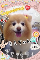 HAPPY BIRTHDAY!