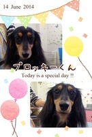 HAPPY BIRTHDAY!