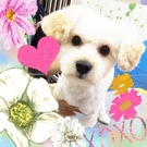 ふたり合わせてココナッツ☆