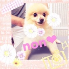 しっぽフリフリ~♪