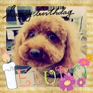 HAPPY BIRTHDAY!