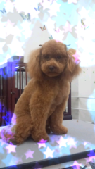 とってもCute♪