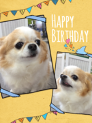 HAPPY BIRTHDAY!