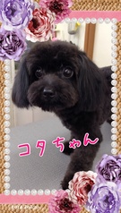 お利口さん☆